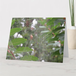 Cartão Aguardando aranha