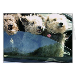 Cartão Aguardando Comida chinesa