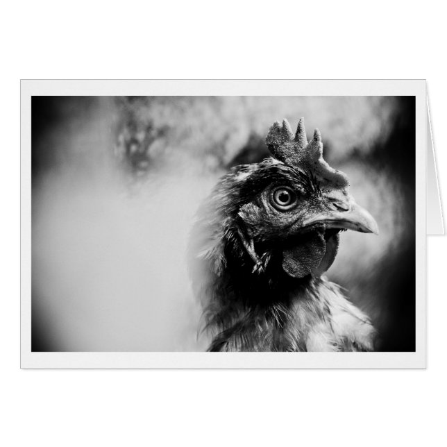 Cartão aguardente e frangos 2 (Frente Horizontal)