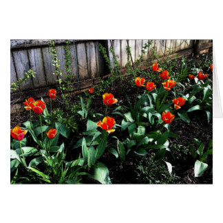 Cartão Aguarela da tulipa