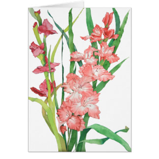 Cartão Aguarela Gladiolas cor-de-rosa