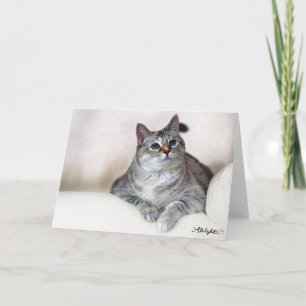 Cartão Aguarela Zilla