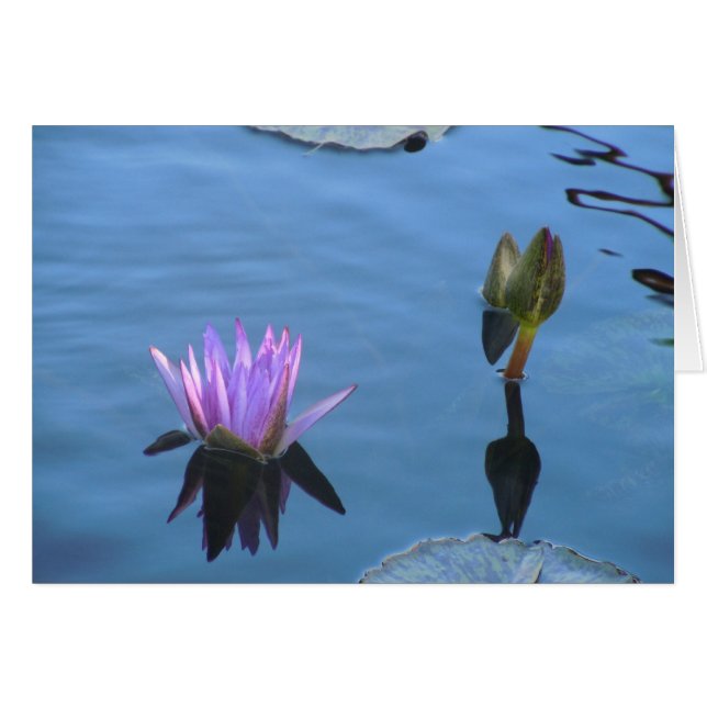 Cartão Águas Mystical (Frente Horizontal)