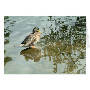 Cartão Águas silenciosas  