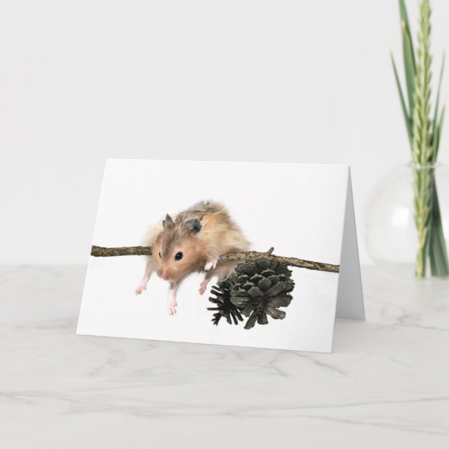 Cartão Aguente aí. (Frente)