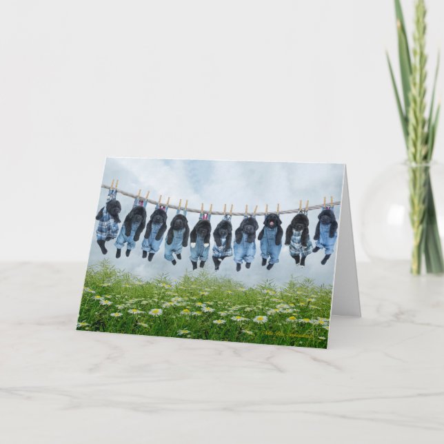 Cartão Aguente firme na placa de saudação de filhotes (Frente)