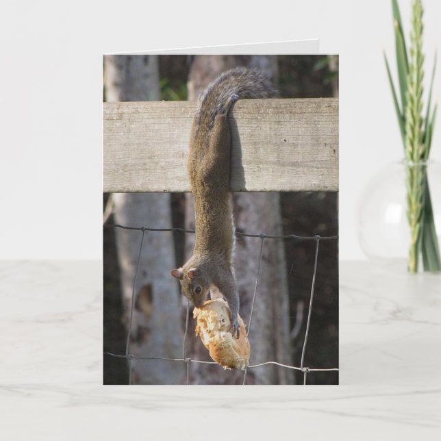 Cartão Aguente Lá Bebê (Dentro Vazio) (Frente)