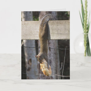 Cartão Aguente Lá Bebê (Dentro Vazio)