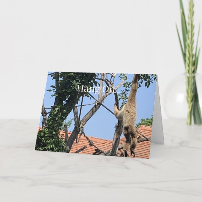 Cartão Aguente, Macaco Aniversário (Frente)