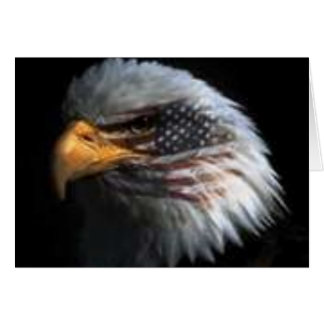 Cartão Águia Americana