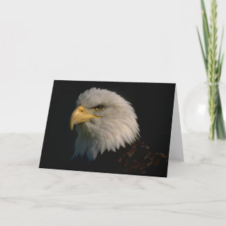 Cartão Águia americana americana