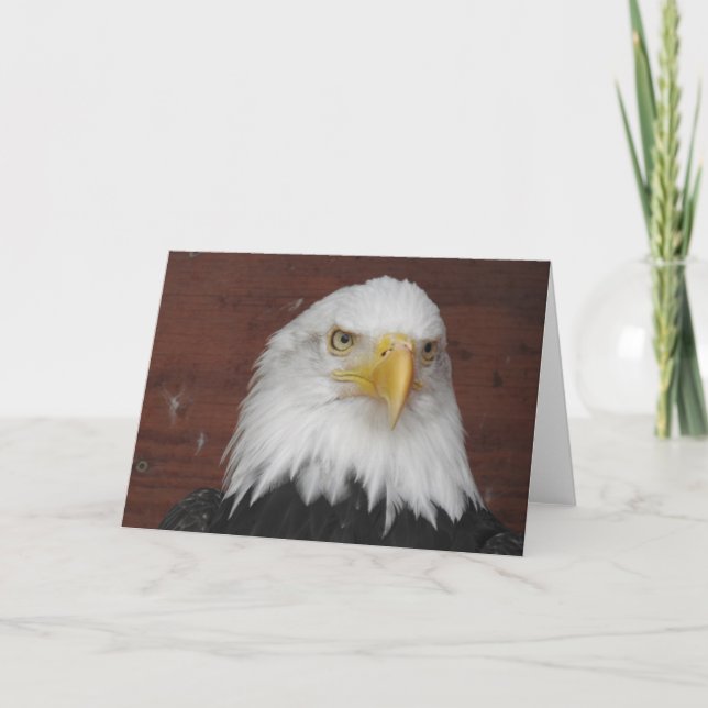 Cartão Águia Americana em Branco (Frente)