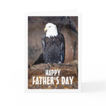 Águia Balda Americana no Ninho