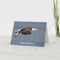 Águia-careca com um peixe