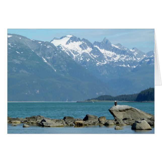 Cartão Águia-careca em Skagway Alasca (Frente Horizontal)