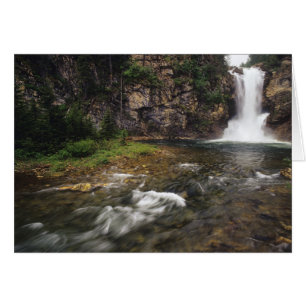 Cartão Águia em execução cai em trick cai nos dois