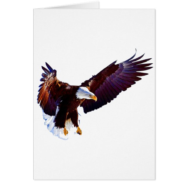 Cartão Águia Em Voo (Frente)