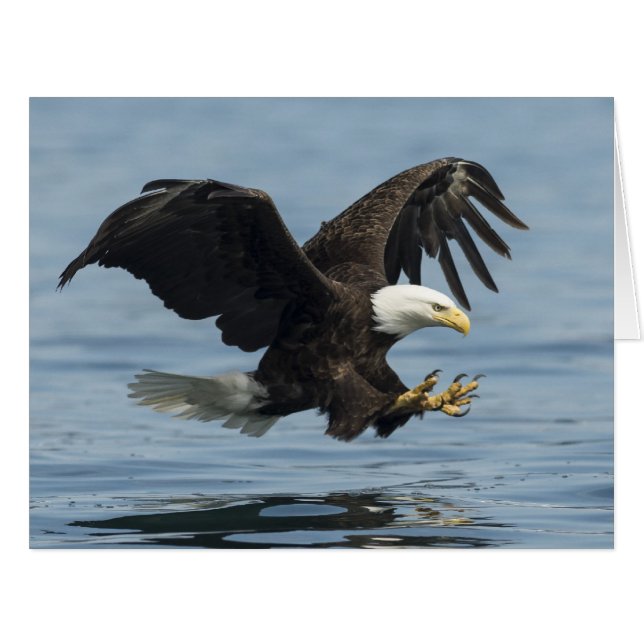 Cartão Águia na Abordagem (Frente horizontal)