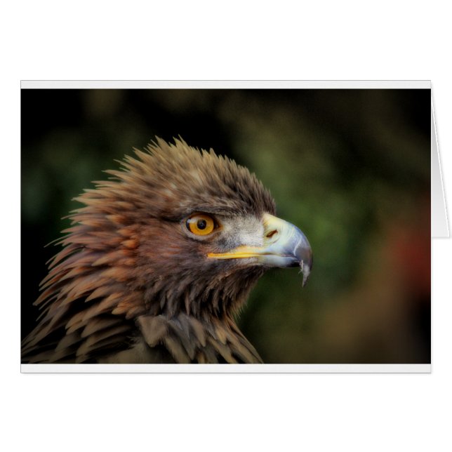 Cartão águia ouro (Frente Horizontal)