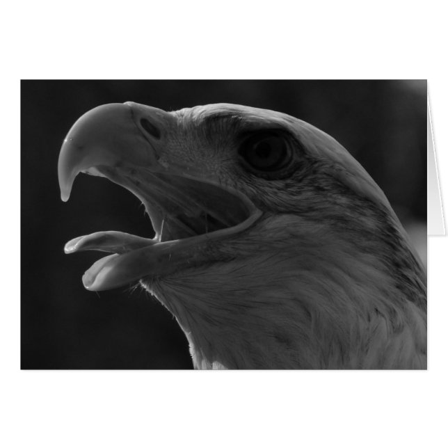 Cartão Águia Preta e Branca (Frente Horizontal)