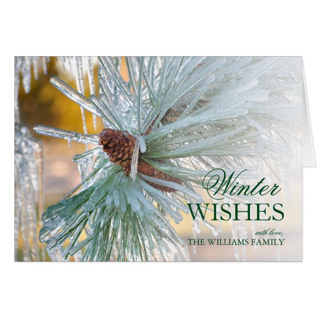 Cartão Agulhas de pinheiro em gelo (Frente Horizontal)