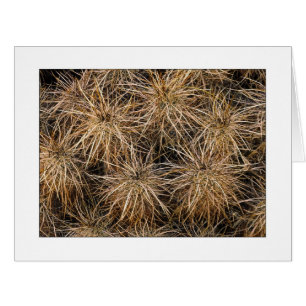 Cartão "Agulhas e empilhamentos"