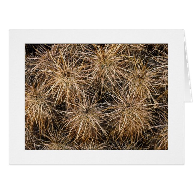 Cartão "Agulhas e empilhamentos" (Frente horizontal)