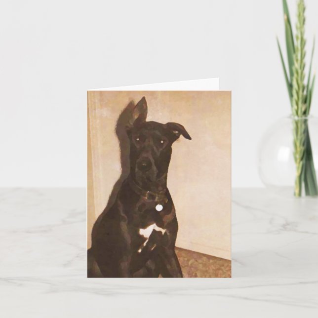 Cartão AH- Great Dane Dog Notecards or Greeting cards (Frente)