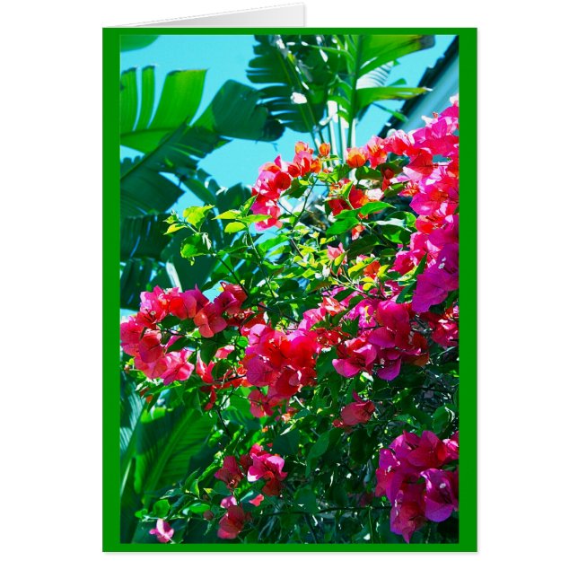 Cartão Ahh… Florida (Frente)