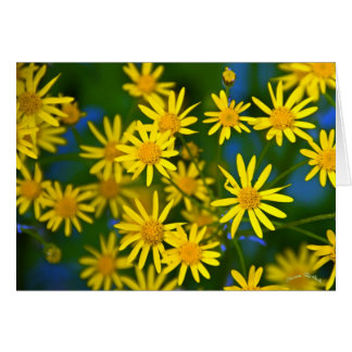 Cartão Ahhh, primavera