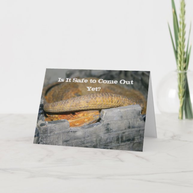 Cartão Ainda é seguro? Dragão barrado (Frente)