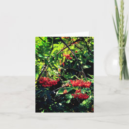 Cartão Airelas vermelhas