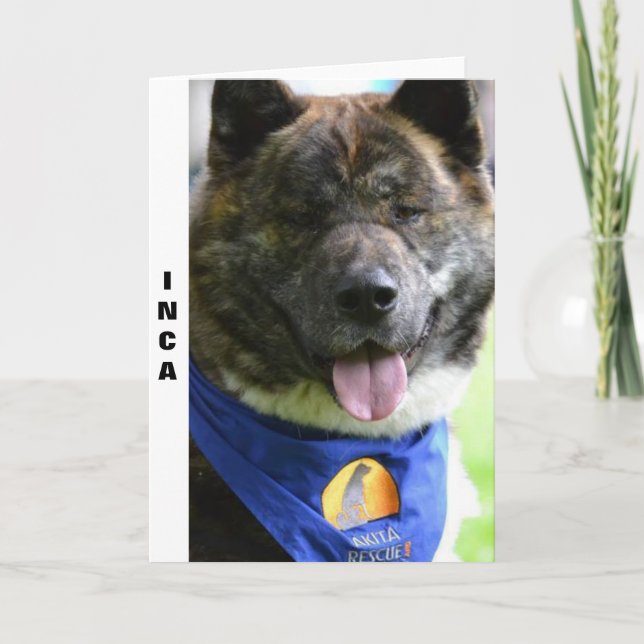 Cartão Akita card (Frente)