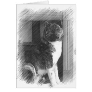 Cartão Akita Cards