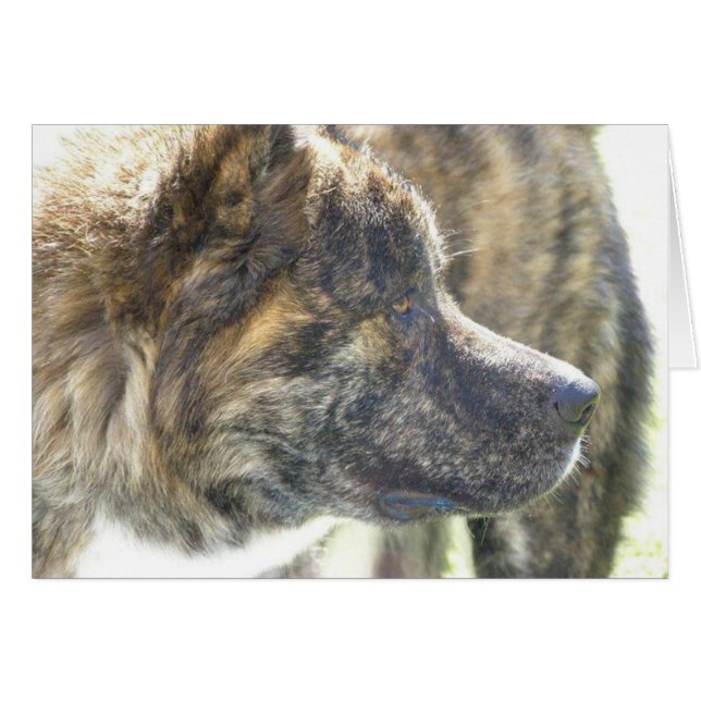 Cartão Akita Cards (Frente Horizontal)