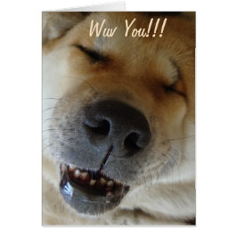 Cartão akita fofa sorrindo o amor engraçado do cachorro