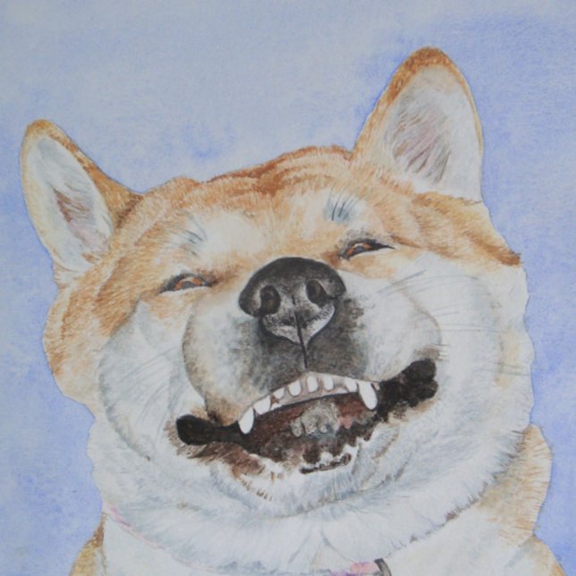 Cartão akita, japonesa engraçado, sorridente amor de cão (Criador carregado)