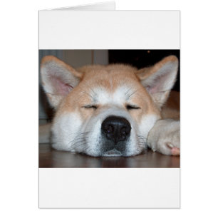 Cartão akita sleeping.png