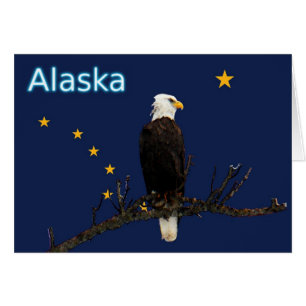 Cartão Alaska Eagle E Flag