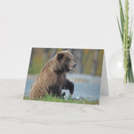 Cartão Alaskan Brown Bear at Kenai NWR