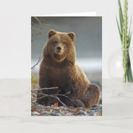 Cartão Alaskan Brown Bear at Kenai NWR, Alaska