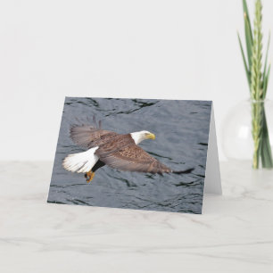 Cartão Alaskan Eagle