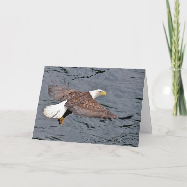 Cartão Alaskan Eagle (Frente)