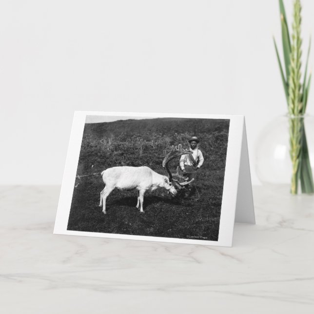 Cartão Alaskan Eskimo and Captured Reindeer (Frente)