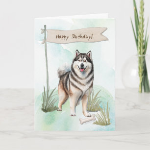 Cartão Alaskan Malamute Breed Dog Sob Sinal De Aniversári