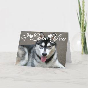 Cartão Alaskan Malamute Cães Eu Te Amo