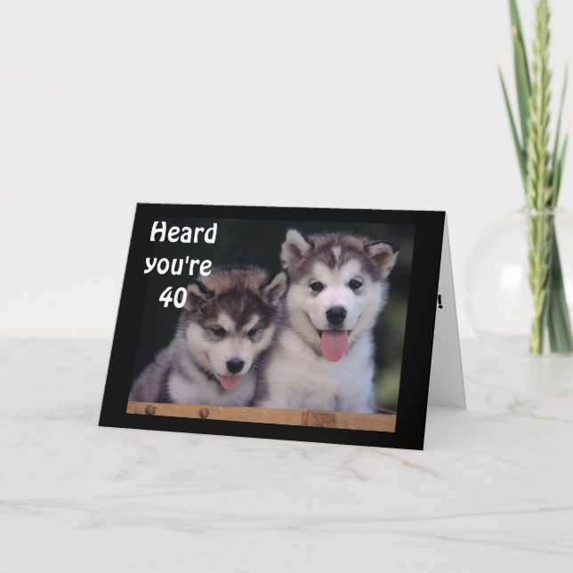 Cartão "ALASKAN MALAMUTES 40th BIRTHDAY WISHES" (Frente)
