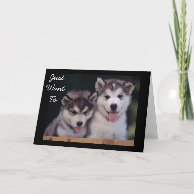 CARTÃO "ALASKAN MALAMUTES BIRTHDAY WISHES" (Frente)