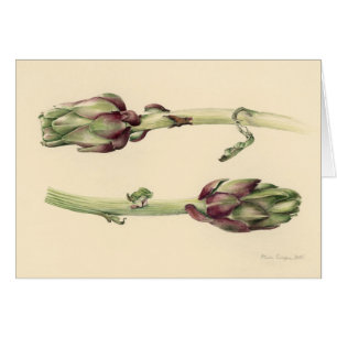 Cartão Alcachofras 2005