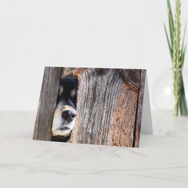 Cartão Alcance Do Nariz Do german shepherd Através Da Cer (Frente)